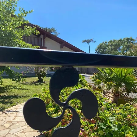 Vila Valhalla - 400m From Beach, Sauna And Big Heated Pool Labenne