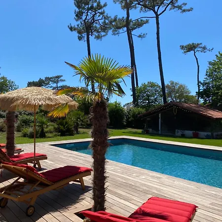 Villa Valhalla - 400m From Beach, Sauna And Big Heated Pool