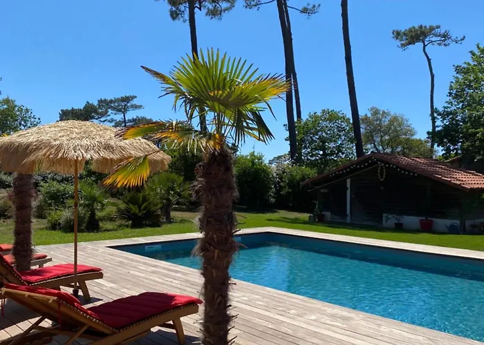 Villa Valhalla - 400m From Beach, Sauna And Big Heated Pool